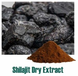 Shilajit Dry Extract