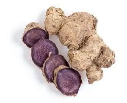 BLACK GINGER