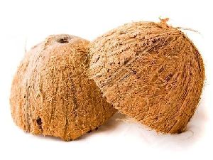 Coconut Shell