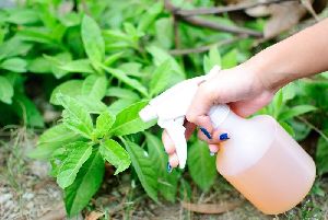 Soya Tonic Plant Growther