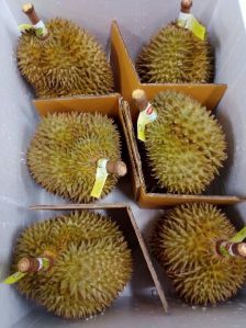 Durian