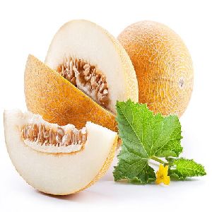 muskmelon