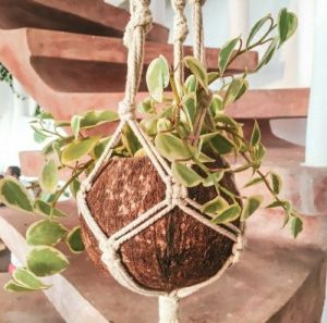 Coconut Shell Hanging Planter