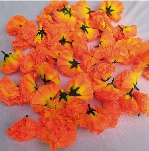 Carnation Flower Seeds