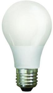 12 Watt LED Bulb