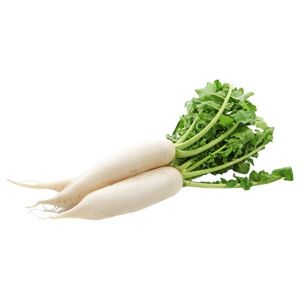 Fresh White Radish