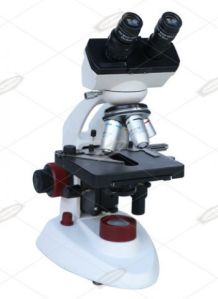 Compound Binocular Microscope