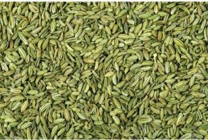 organic fennel seeds