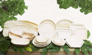 Dinnerware