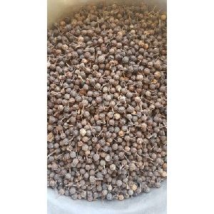 Organic Cubeb Pepper