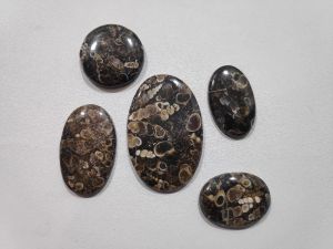 Natural Turtela Cabochon Stones