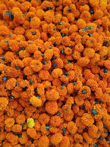 Marigold Flowers