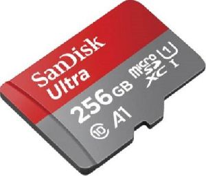SanDisk 256 GB Memory Card