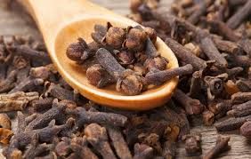 Clove Seeds