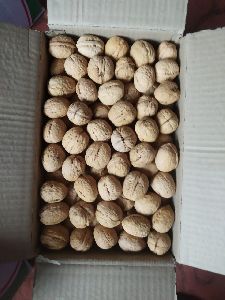 Kashmiri Walnuts