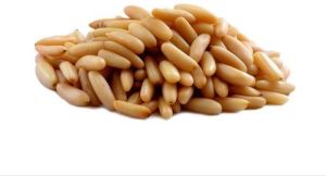 Pine Nuts