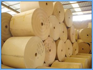 Craft Paper Roll Printing Services