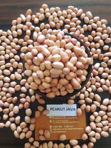 Java Peanut