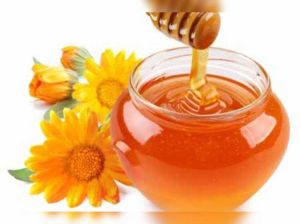 Sunflower Honey