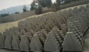 Fly Ash Brick