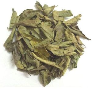 dry curry leaves