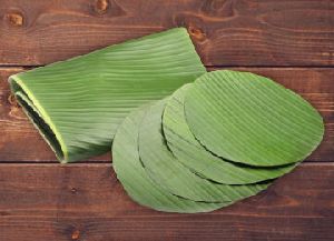 Banana Leaf