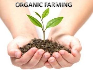 organic farming consultancy service