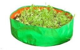 15x9 Inch HDPE Grow Bags