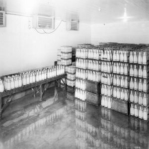 Milk Cold Storage Room