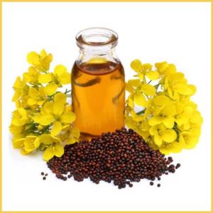 Virgin Mustard Oil