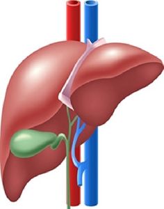 Liver Disease Doctor in Ahmedabad