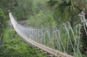 Wire Rope Suspension Bridge