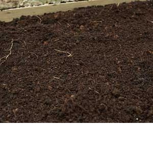 Loam Soil