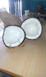 Fresh Coconut