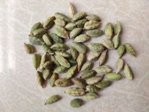 Cardamom