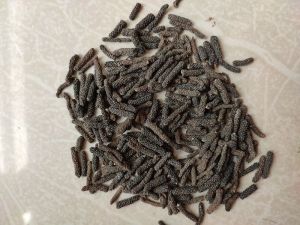 organic long pepper