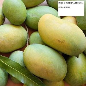 Fresh Chaunsa Mango