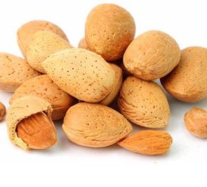 shell almond