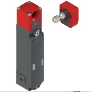 Pizzato NG 2D1D411A-F30 safety switch