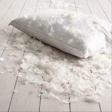 Feather Pillow