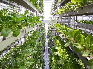 Vertical farming Machine