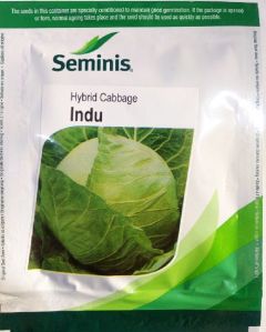 Hybrid Cabbage Seeds