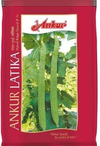 Hybrid Ridge Gourd Seeds