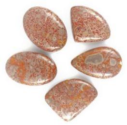 Orbicular Jasper Gemstone