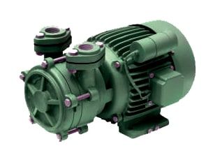 Monoblock Pump