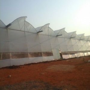 Naturally Ventilated Greenhouse