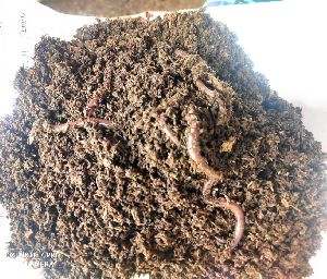 vermicompost