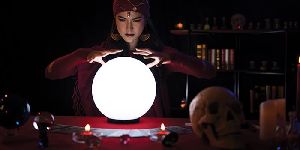 vashikaran specialist astrologer