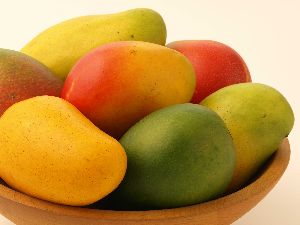 malda mango