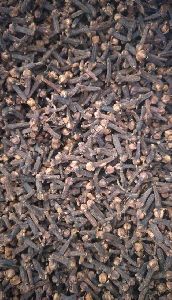 Clove Seeds